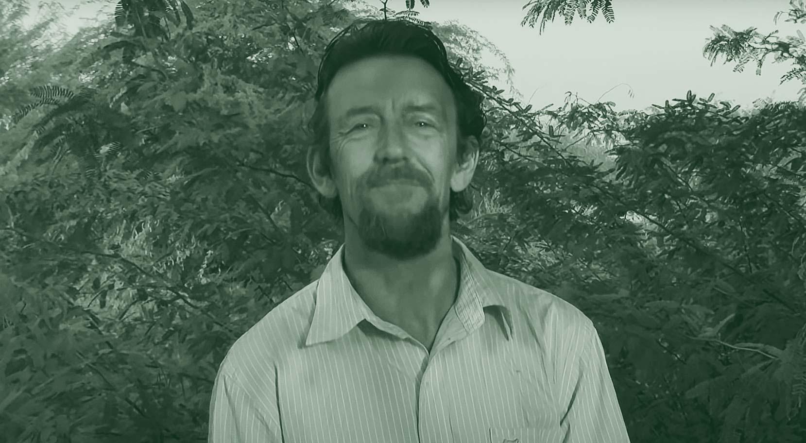 Green Desert Forestation Story Cover Image