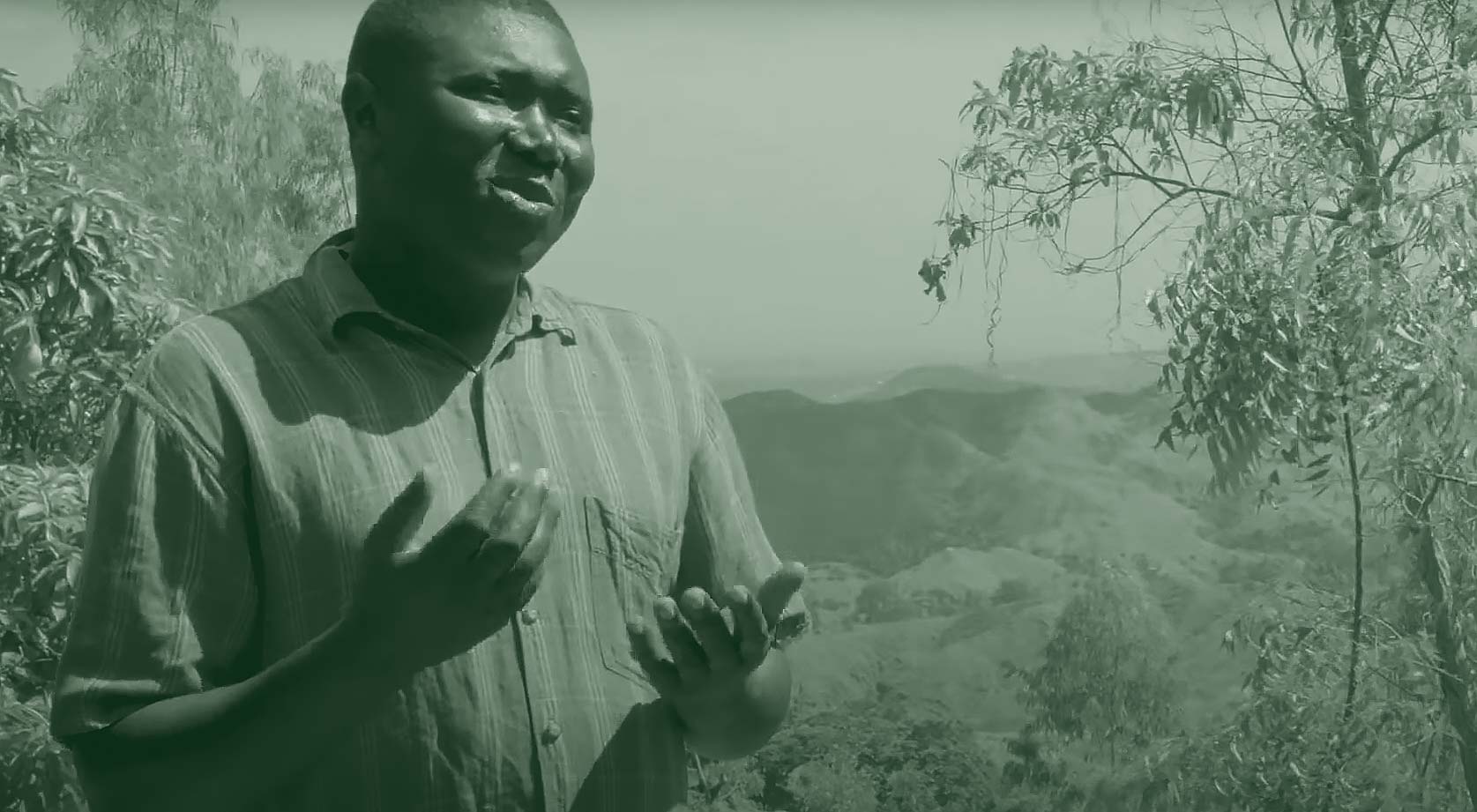 Haiti Reforestation Story Cover Image