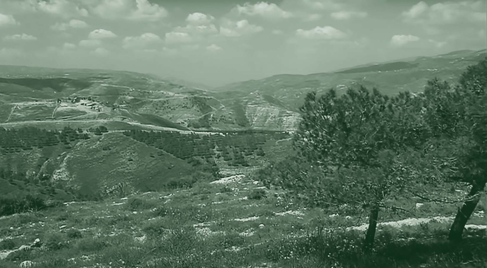 John D. Liu Reforestation Story Cover Image