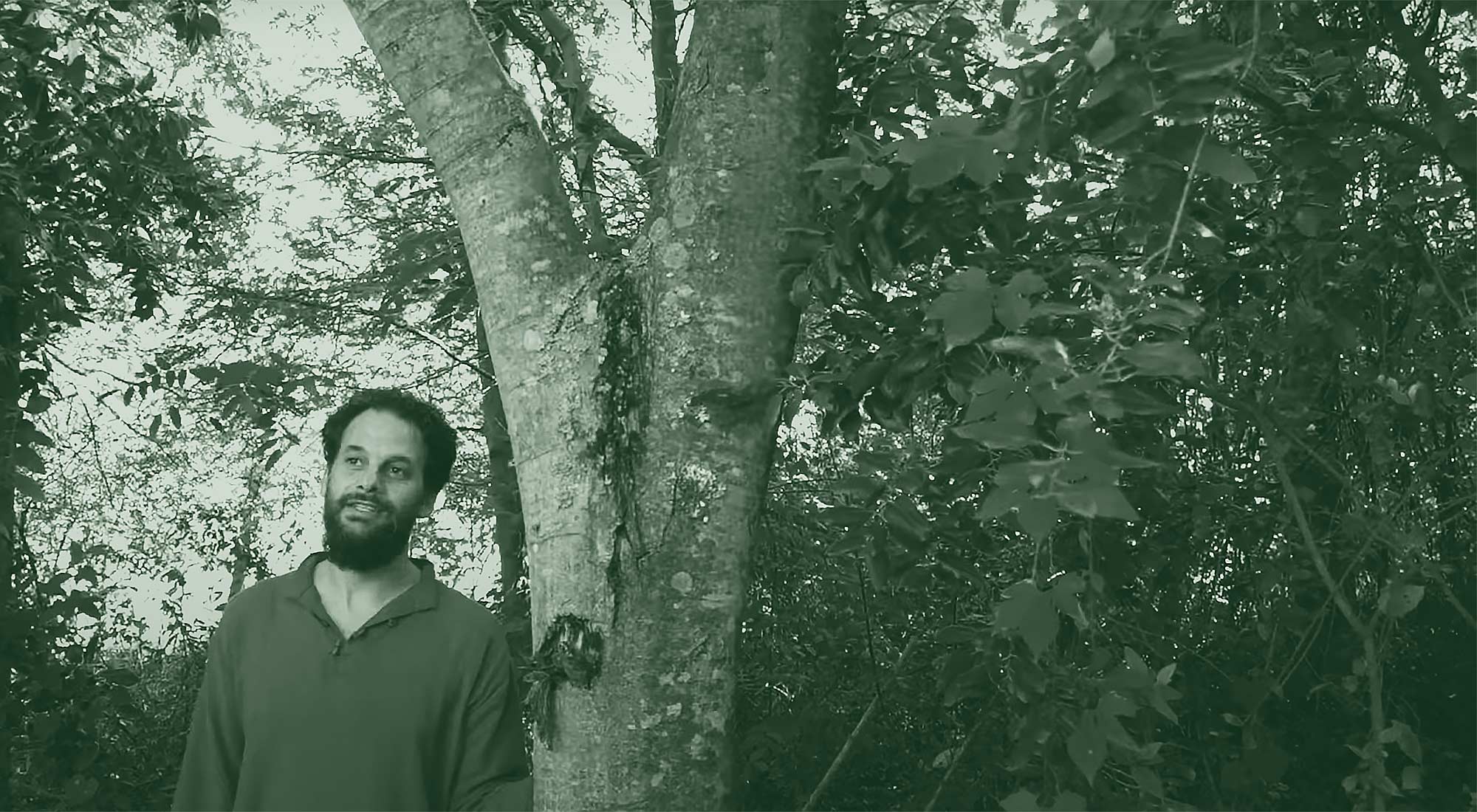 Salgado Forestation Story Cover Image